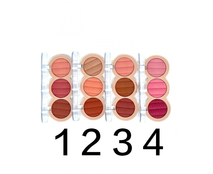 🌸 Bright blusher kit – rubor waterproof & sweatproof 🌟